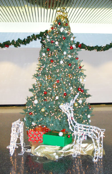 Civic Center Holiday Tree