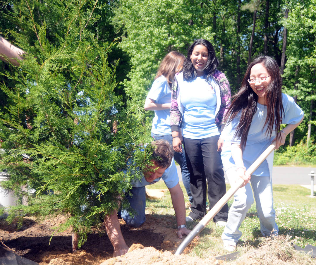  CCCC Confucius Class plants tree for Arbor Day