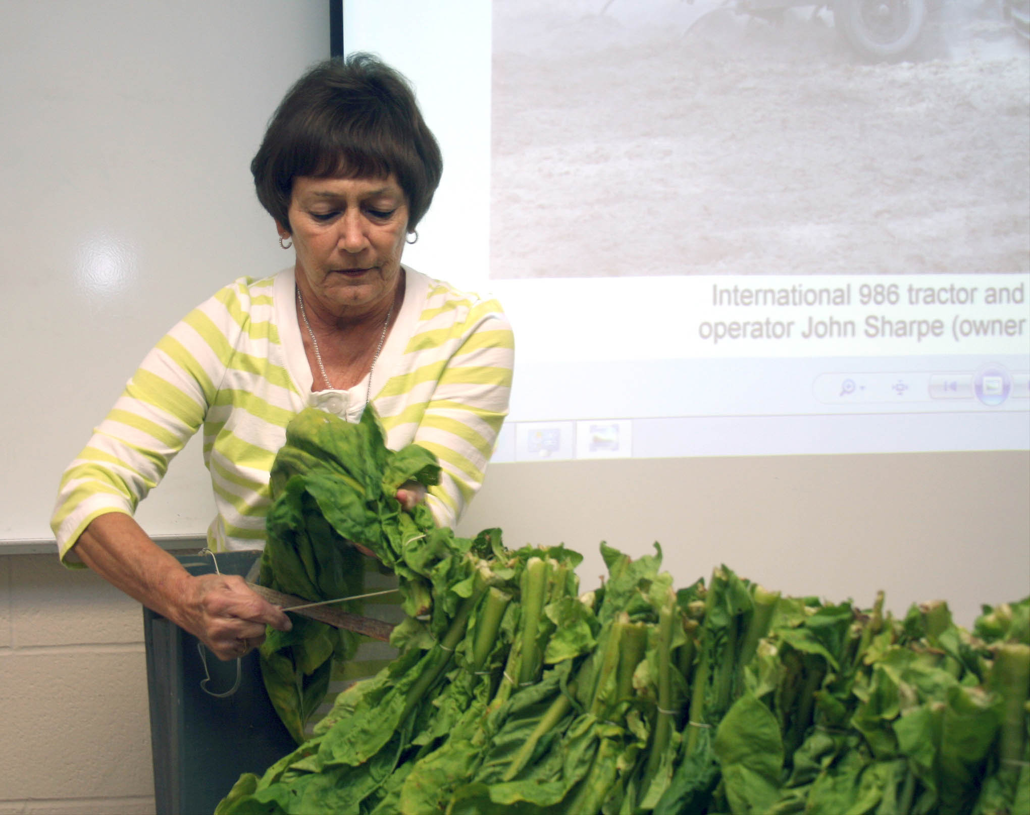 Read the full story, CCCC students learn about tobacco farming
