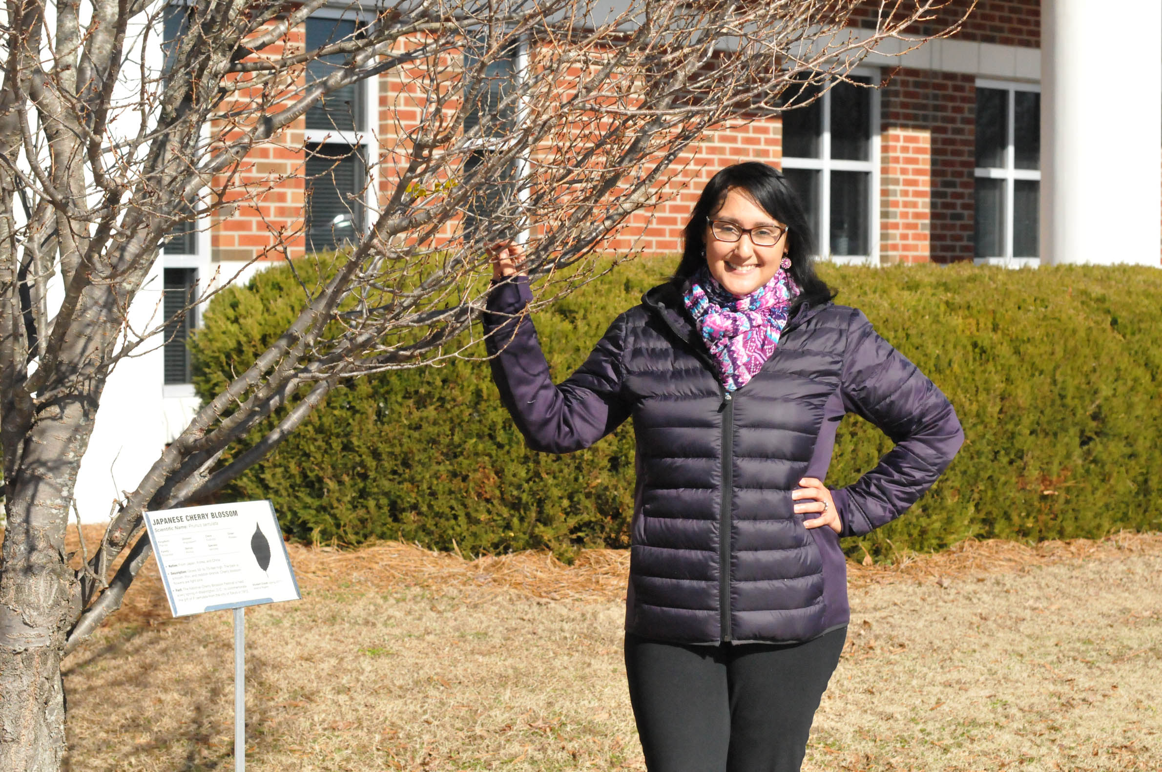 CCCC students participate in 'Tree Identification Project'