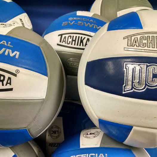 CCCC Volleyball to host camps