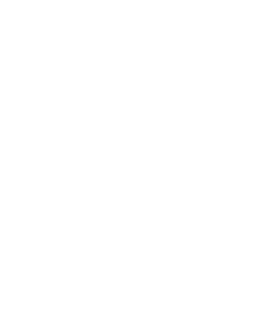 Central Carolina Comunity College: Foundation