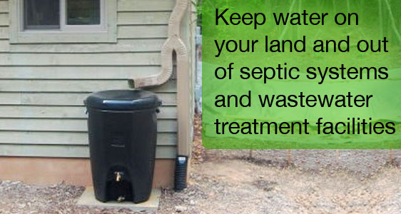 Keep water on your land and out of septic systems and wastewater treatment facilities