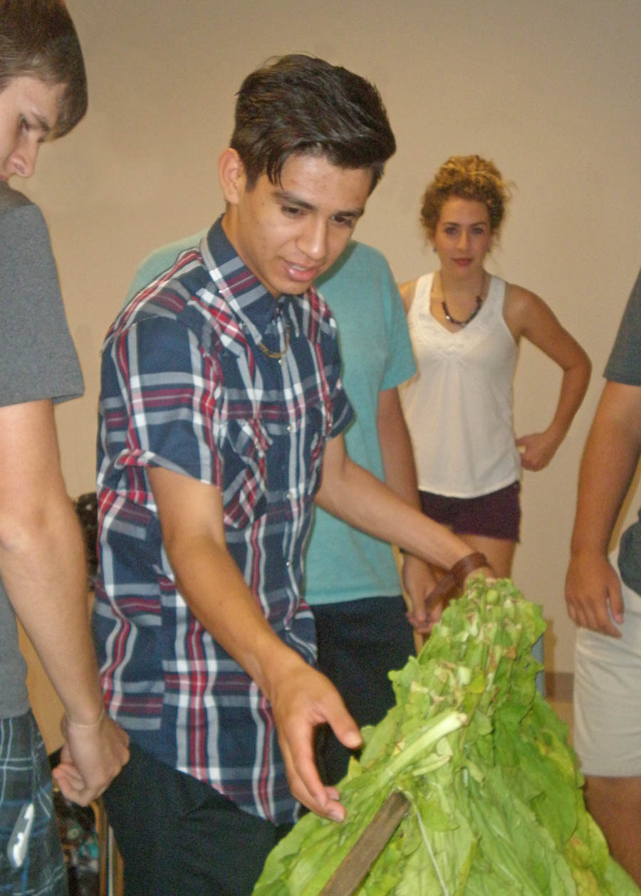 Click to enlarge,  Juan Penaloza (center), a student in Central Carolina Community College instructor Bianka Stumpf's history class, checks out harvested tobacco looped to a stick while students Joe Harris (left) and Abby Taylor (right) look on. Patrick Kelly, CCCC coordinator of Student Outreach and Partnerships, grew up on a local tobacco farm, so he and his aunt, Kay Kelly (background, standing), visited Stumpf's class to answer questions about tobacco farming. Tobacco has deep roots in North Carolina and Stumpf said inviting tobacco farmers to speak to her classes allows students to experience something with historical and local relevance. For information about Central Carolina.  