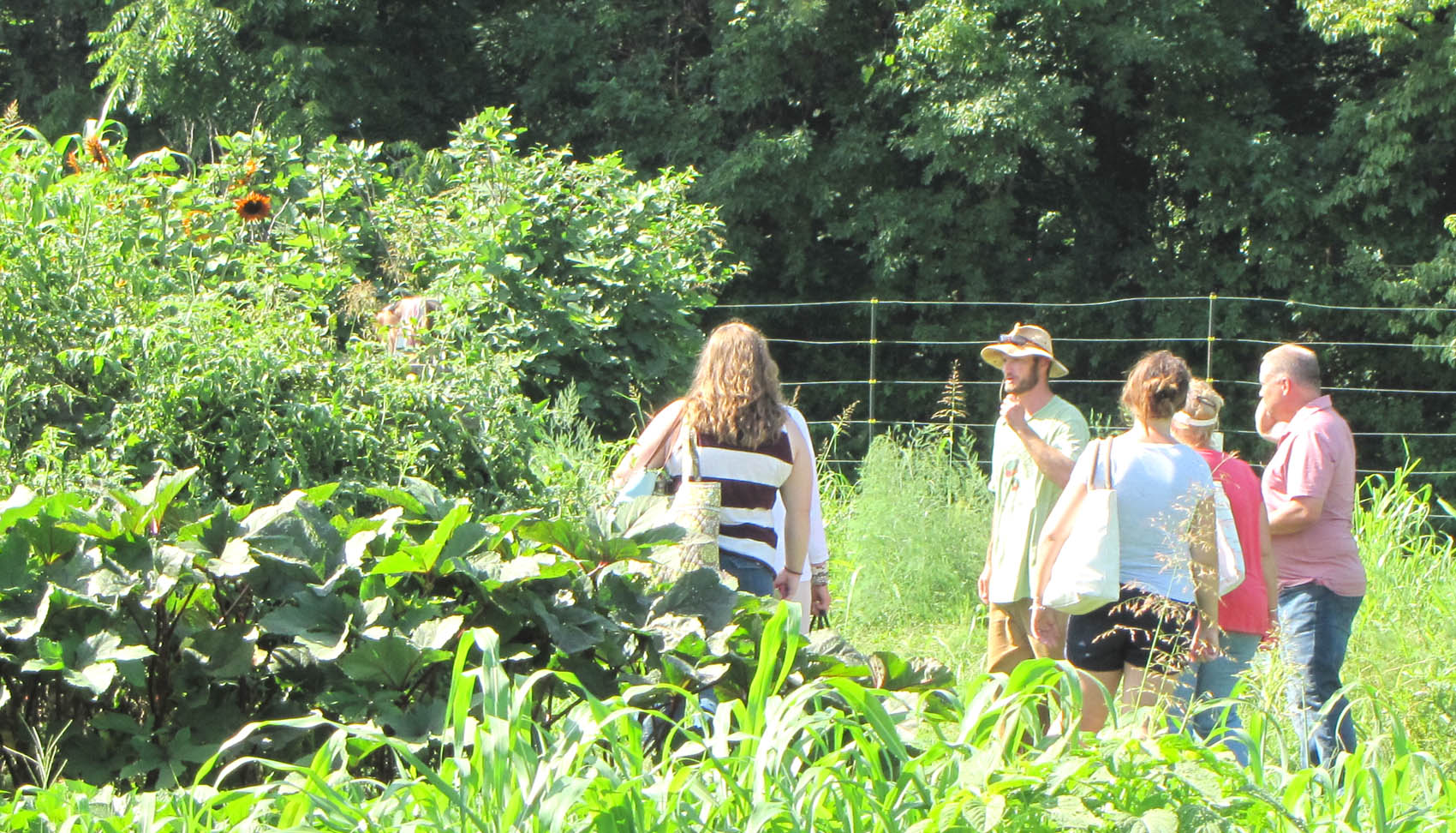 Read the full story, CCCC hosts Sustainable Culinary Arts & Farm Tour event