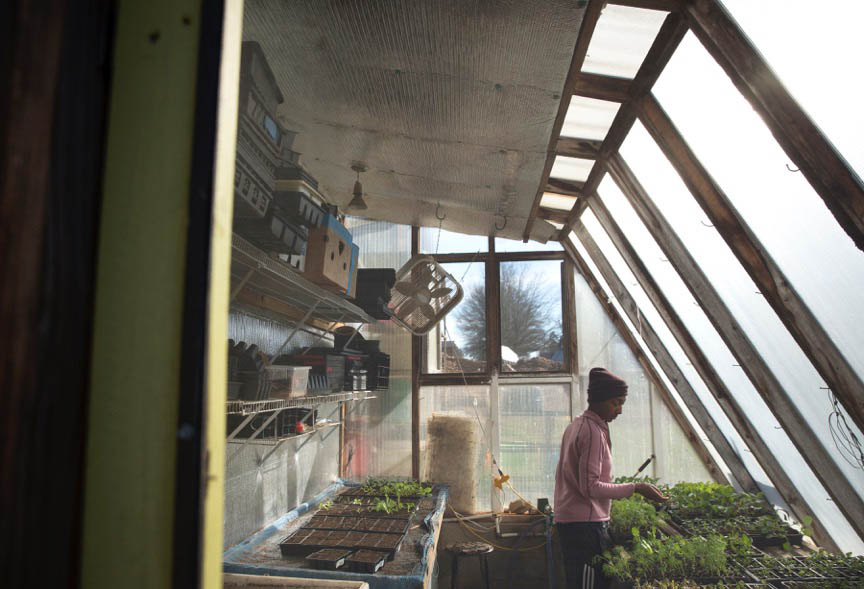 Teaching sustainability through agriculture, technology, and the culinary arts