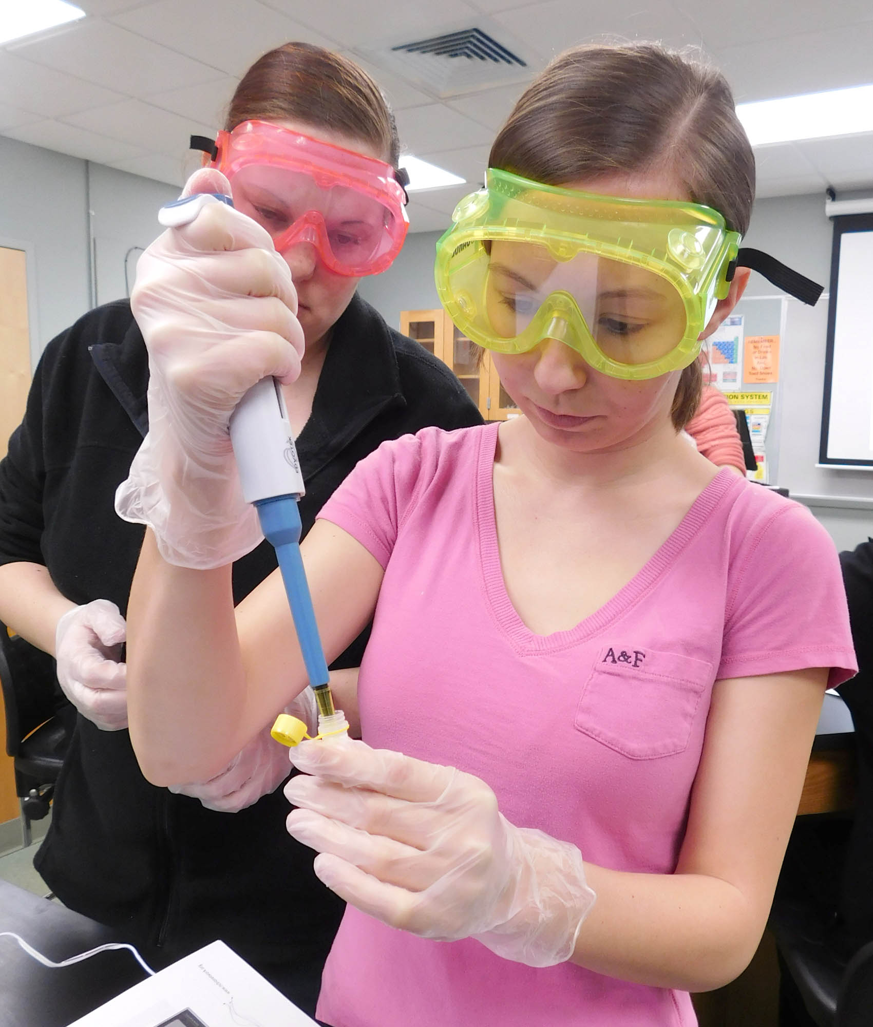 Click to enlarge,  Central Carolina Community College students in the Criminal Justice class "Forensic Biology" study DNA thanks to a lab exercise provided by the NC BioNetwork program. Pictured are students Brittany McLamb (yellow goggles) of Coats and Jonetta Bates (pink goggles) of Harnett County. The BioNetwork says of the lab exercise: "In this course, students will help police investigators solve a crime mystery by matching forensic DNA samples to a missing person's genetic material. This lab introduces students to the essential molecular biology techniques of PCR (polymerase chain reaction) and DNA gel electrophoresis. It highlights real-world applications of molecular biology such as DNA analysis in personal identification, forensics and molecular medicine. This lab experience also illustrates the genetic underpinnings of disease through the cystic fibrosis transmembrane receptor gene." The CCCC Forensic Biology class is taught by Jessica Brown, Biology and Latent Evidence Instructor. For more information on Central Carolina Community College, visit the college website at www.cccc.edu. 