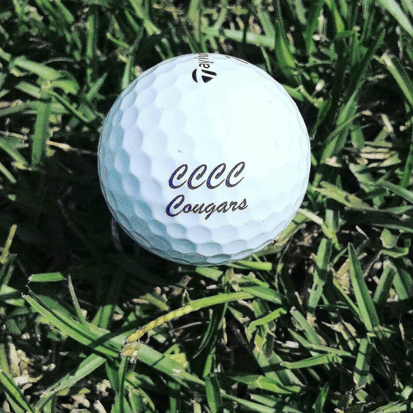 Click to enlarge,  Golfers, grab your clubs for a day of fun and fellowship for a good cause as the Central Carolina Community College Foundation hosts its Eighth Annual Chatham County Golf Classic on Wednesday, May 5, at the Chapel Ridge Golf Course. 